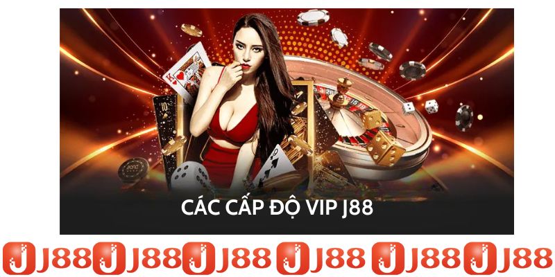 Các cấp thành viên VIP J88 theo quy định chung